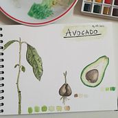 Il mio progetto del corso: Album botanico ad acquerello. Watercolor Painting project by sofiates - 03.14.2021