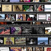 PORTFOLIO. 2D Animation, 3D Animation, Audiovisual Post-production, Filmmaking, Film, Video, TV, Video, and Video Editing project by Sofia Mellino - 03.14.2021