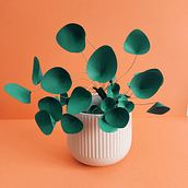 Paper Pilea. Un proyecto de Artesanía y Papercraft de Chanty Town - 15.03.2021