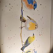 Meu projeto do curso: Técnicas expressivas de aquarela para ilustração de pássaros Ein Projekt aus dem Bereich Kreativität und Illustration mit Tinte von yvazpt - 16.03.2021