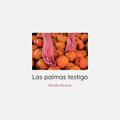 Las palmas testigo. Photograph, Documentar, and Photograph project by Nicolle Alcaraz Martinez - 03.16.2019