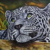 Yaguarete. Acr, lic Painting, Realistic Drawing, and Painting project by Maria Jimena Garcia Varona - 08.12.2016