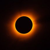 Seres de São Paulo . Een project van Fotografie van Bruno Dantas - 17.03.2021