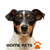 Veterinaria Home Pets :Diseño de interfaces para sitios web y aplicaciones. Pattern Design, and UX / UI project by Diego Félix - 03.17.2021