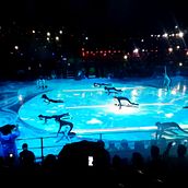 Diseño Audiovisual y 3D Mapping para Show de Opening. Un progetto di Animazione 2D, Animazione 3D, Progettazione 3D e Motion graphics di Omar Amado - 10.02.2019