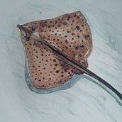 Sea creatures. Projekt z dziedziny Malowanie akwarelą użytkownika Paula Vermeulen - 18.03.2021