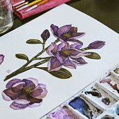 Projeto flor de Magnólia para o curso de aquarela botânica com Luli Reis. Fine Arts project by Agatha Teixeira - 03.18.2021