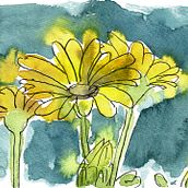Summer Flowers. Watercolor Painting project by Nicole Roth - 03.18.2021
