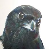 Big small birds. Acr, lic Painting, and Oil Painting project by Sonja Zoet - 01.01.2018