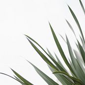 Mi Proyecto del curso: Estrategia de marca en Instagram. Un progetto di Marketing digitale di Yesi Munera Perez - 18.03.2021