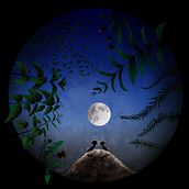 Stories from our garden. Children's Illustration project by Dominika Uhrincová - 08.18.2020