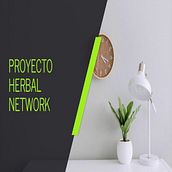 Mi Proyecto del curso: Modelos de negocio para creadores y creativos . Un proyecto de Marketing de Thony Jesús Chávez Soto - 19.03.2021
