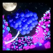 Mi Proyecto del curso: Animación 3D con Cinema 4D y Redshift. 3D Animation project by alexander_morenier - 03.22.2021