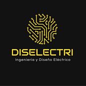 Diseño Web Diselectri. Un progetto di Web design di Andrea Domínguez - 15.10.2020