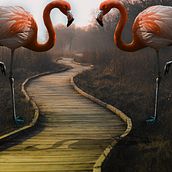 Mi Proyecto del curso: Fotomontaje surrealista con Photoshop . Photomontage project by elioaguilon12 - 03.20.2021