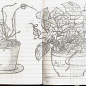 bozzetto.... Sketching project by Lilly Masi - 03.20.2012