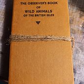 Repurchase an old book. Projekt z dziedziny  Introligatorstwo użytkownika Jodi Abel - 20.03.2021