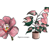 Piante. Een project van Traditionele illustratie,  Botanische illustratie y Digitale illustratie van Angela Torrisi - 21.03.2021