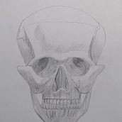 Mi Proyecto del curso: Dibujo anatómico de la cabeza humana.  project by ursulanp - 03.21.2021