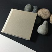 Mon projet du cours : Reliure artisanale sans coutures. Bookbinding project by Françoise Amet - 03.22.2021