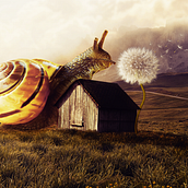 Meu projeto do curso: Fotomontagem surrealista com Photoshop . Concept Art project by Rafael Gonçalves - 03.23.2021