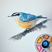 My project in Artistic Watercolor Techniques for Illustrating Birds course. Un proyecto de Pintura a la acuarela de sadie - 23.03.2021