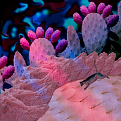 Instasuggest 1.1. Un proyecto de Composición fotográfica de LUNALAFFX (LVAML) - 24.02.2021