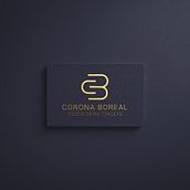 Branding Corona Boreal. Br, ing, Identit, and Graphic Design project by Albert Masmitja - 03.23.2021