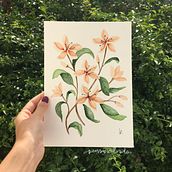Explorando a Aquarela . Un proyecto de Pintura a la acuarela de Bruna Moreti - 10.04.2021