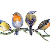 My project in Artistic Watercolor Techniques for Illustrating Birds course. Watercolor Painting project by Lea Morgan - 03.24.2021
