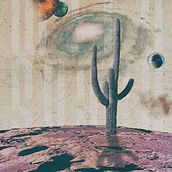 Wild Space. Collage, and Poster Design project by Pablo Tendero - 03.24.2021