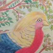 Ave del Paraíso. Desenho projeto de Jorge Cam - 18.03.2021