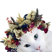 Tocados con flores secas, preservadas y mas. Arts, and Crafts project by Alejandra Bourda - 03.25.2021