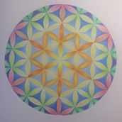 Dibu flor de la vida lápices de colores. Projekt z dziedziny Design, Ilustracja naturalist i czna użytkownika Montse Alonso - 25.03.2021