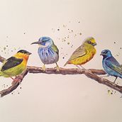 Final project in Artistic Watercolor Techniques for Illustrating Birds. Watercolor Painting project by yeriipadilla - 03.26.2021