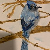 My project in Artistic Watercolor Techniques for Illustrating Birds course. Watercolor Painting project by Christine Combs - 03.27.2021