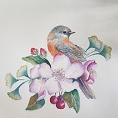 My project in Naturalist Illustrations with Watercolors: Drawing and Composition course. Un progetto di 3D di Jenny Foreman - 27.03.2021