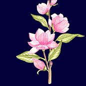 My project in Botanical Illustration with Watercolors course. Watercolor Painting project by monicabalin - 03.27.2021