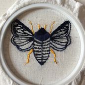 My first embroidery moth. Embroider project by Ariadna Uxue Palomino Ylla - 03.27.2021