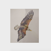 Animales Fase 2. Watercolor Painting project by Maria Ignacia Pfeffer - 10.23.2020