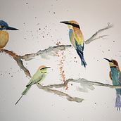 A little group of Bee-eaters. Watercolor and ink.. Watercolor Painting project by hahawolf - 03.29.2021