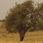 Proyecto 2 - Testigos del tiempo. Un projet de Photographie, Photographie artistique , et Photographie extérieure de German Diaz - 24.09.2020