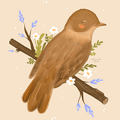 Ilustración Ruiseñor Ein Projekt aus dem Bereich Kinderillustration von Batirtze Abuin - 29.03.2021