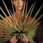 DIVINITY DESCENDED_Exhibition Video. Film, Video, and TV project by Xavier Gómez Guillamón - 11.29.2021