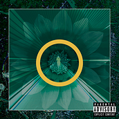 Re diseño álbum "Sepiternal"- Bring me the horizon. Digital Design project by Rebeca Romero - 03.30.2021