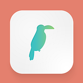 Iconos de animales de C.A. Vector Illustration project by Rebeca Romero - 03.30.2021