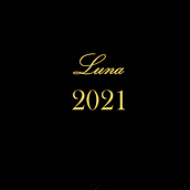 Lookbook: Luna 2021. Creativit, Artistic Drawing, and Fashion Design project by Rae S Daneim - 03.30.2021