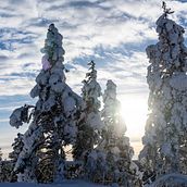 El Sol del Norte. Photograph, Fine-Art Photograph, Portrait Photograph, Digital Photograph, Documentar, and Photograph project by Tomás Garnier - 04.02.2021