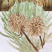 Mi Proyecto del curso: Cuaderno de viaje en acuarela. Traditional illustration, and Watercolor Painting project by Nicté Kono - 03.31.2021