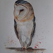 My project in Artistic Watercolor Techniques for Illustrating Birds course. Un progetto di Pittura ad acquerello di Zita Csapó - 31.03.2021